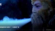 猴急?