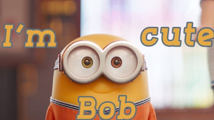 King Bob! Who could resist a little baldie with heterochromatic eyes? | Cute Style | Lightly Tread o
