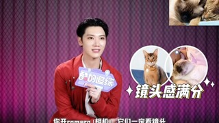 【李永钦/Ten】优酷专访之双标李永钦，猫猫连续剧，我们的猫猫是艺人呐~
