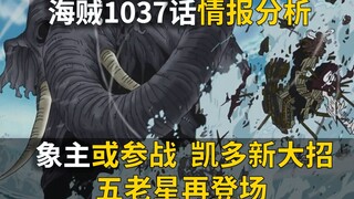 【阿旺】海贼1037话情报！凯多新大招！五老星再登场！象主若参战，还打个毛线？