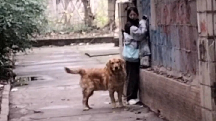 “Anak anjing selalu bisa dengan tepat menemukan orang yang takut pada anjing!”