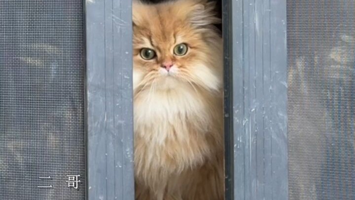 Of course, they're all beautiful, each in their own way!