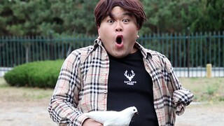 After reading the Stupid Novel (30) in one minute, I actually forgot that rabbits don’t eat grass ne