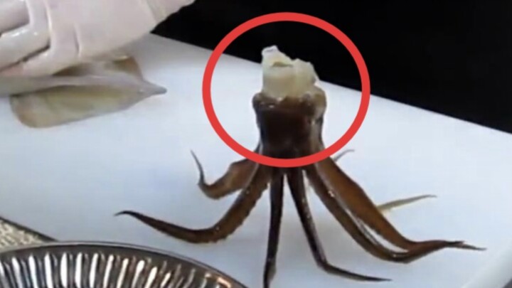 รายการกินของญี่ปุ่นช่างน่าสงสารจริงๆ…