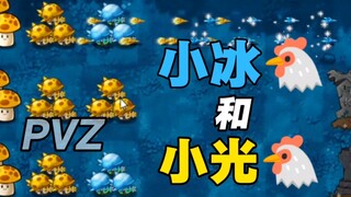 【植物大战僵尸融合版】小冰鸡和小光鸡很可爱，所以谁有黑橄榄帅哥联系方式？