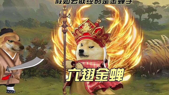 金蝉子：取什么经？让如来给我送过来