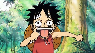 "Mặc dù lúc nhỏ Luffy không thông minh lắm nhưng cậu ấy vẫn có rất nhiều quần áo."