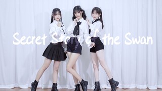 【面X鼠X羽毛】幻想童话-Secret Story of the Swan-【苏喵学院】