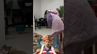 Ở Nhà Mẹ Đẻ #shorts #comedy #hindi #funny