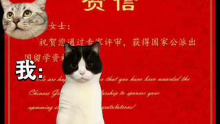 Melihat pengajuan resmi Korea Utara yang disetujui saya 🤗🤗🤗