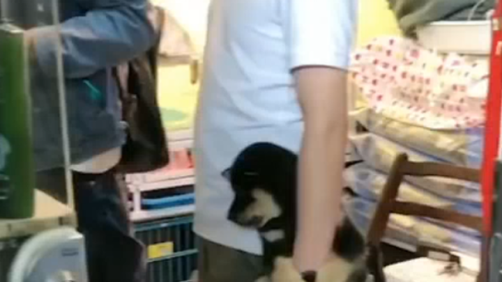 Those dozen years in your life are their whole lifetime.