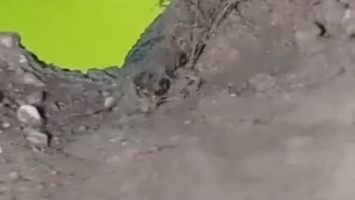 penemuan aneh coba perhatikan bike bike