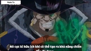 Top 7 Trái Paramecia Phòng Thủ Cực Mạnh Trong One Piece #2- 1
