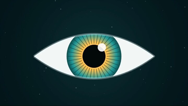 The-upside-down-eye