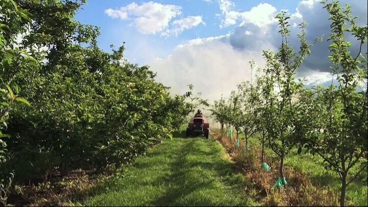 This video make you think Green!