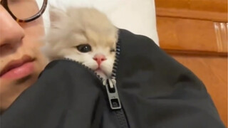 "Trái tim, gan yêu quý"