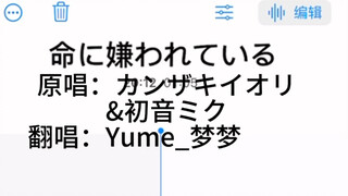 不想死的话就活下去啊