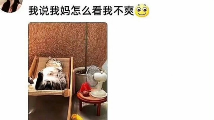 我说我妈怎么看我不爽 