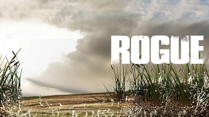 @r.o.g.u.e@