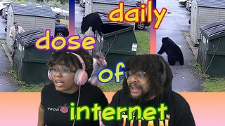 A Bear-y Exciting Daily Dose Of Internet Reaction ft. Chavezz