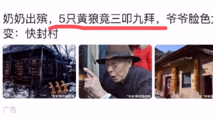 Cáo hoang đưa tang, ông bà tôi lại ba lạy chín vái, mặt tôi tái mét: Nhanh chóng phong tỏa làng ngay