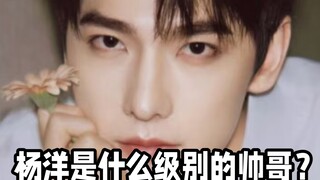 What level of handsome guy is Yang Yang?