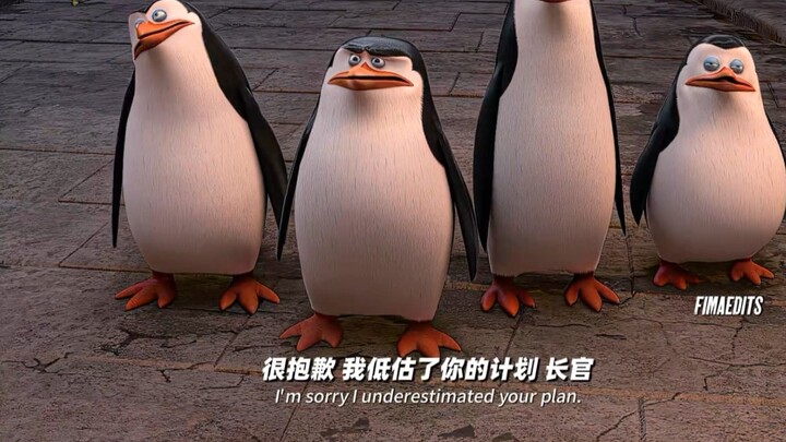 Sir, is this also part of your plan?