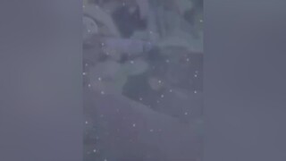 Ngon lành gì đâu mà bọn người cứ phì phèo funny cliphai