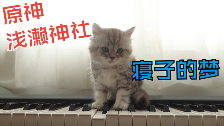 [ Genshin Impact ] Is there a way to make the Milk Cat wag its tail?? Playing the piano for cats: “N