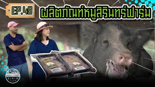 ผลิตภัณฑ์หมูสิรินทร์ฟาร์ม - [สิรินทร์ฟาร์ม] EP.49