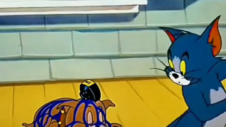Unlucky cat