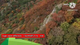 SUGOI JAPAN 'ฮิโระซัง' พาไปเที่ยว ที่ "โชโดะชิม่า" วันอาทิตย์ที่ 21 ก.ย. เวลา 11.30 น.