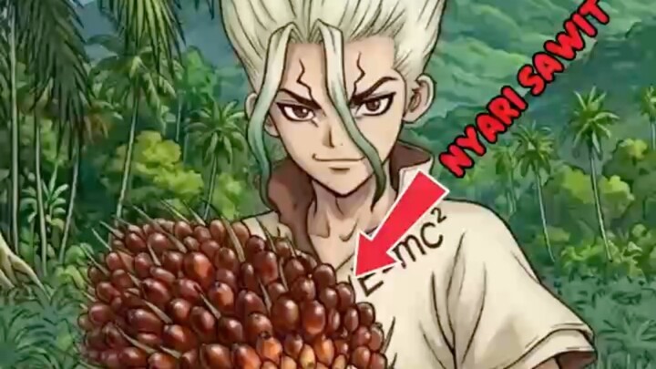 Senku ke indo nyari saw1t eps terbaru