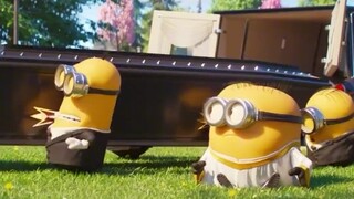 [Minion có đôi mắt to và dễ thương] Minion vác quan tài