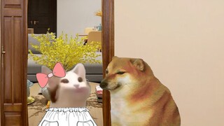 Jika Anda memasuki ruangan yang aneh...