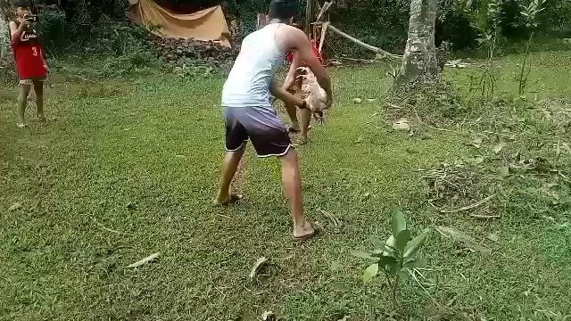 pang 2xwin na 7months