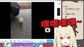 日本JK鉴赏日本狐狸：我喜欢韩国的狐狸！