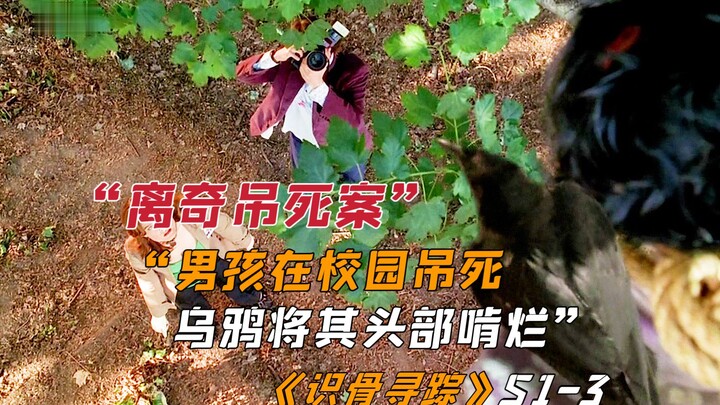 Cậu bé treo cổ tự tử trong khuôn viên trường, lũ quạ gặm nát đầu của em [Nhận diện xương cốt]