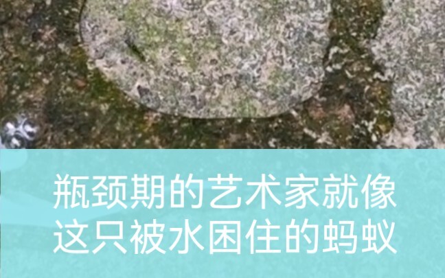 An artist in a creative bottleneck is like this ant trapped in water.