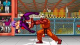 MUGEN Street Fighter：Ayane Wp VS Shin Gouki