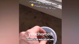 lừa tau hã🤣🤣🤣