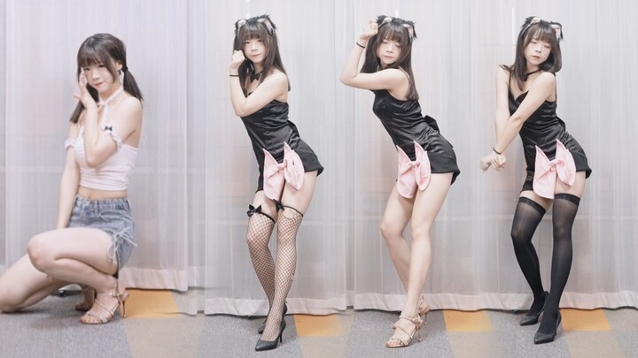 Mèo ngọt ngào quyến rũ ❤️ Sô-cô-la đen hay sô-cô-la trắng? Như một chú mèo