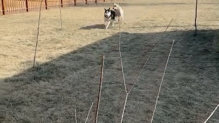 Dropped off the hammer for boarding and left without looking back, not even glancing at it.