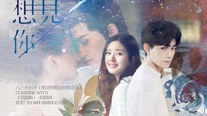 【دينغ يو شي × تشاو لو سي】أريد رؤيتك × قصيدة بودي، من منظور رواية جينجيانغ سريعة الانتقال/تقييمات إيج