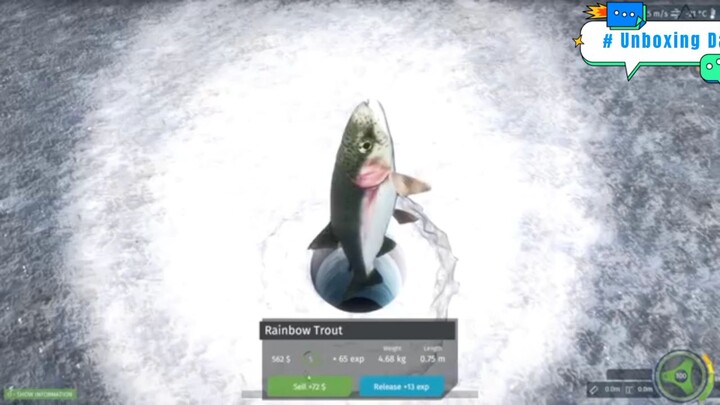 Câu cá vào một buổi hoàng hôn