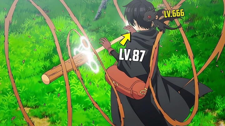 Awalnya Diremehkan Tapi Ternyata Ahli Sihir Terkuat Di Dunia