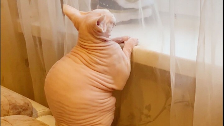 Puma Messi: I’m definitely not the fattest one in the family!