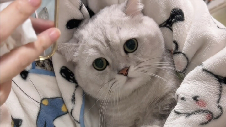 Did you know? Everyone except Mom is a bad person!