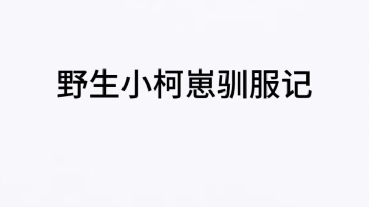 论灰原是如何攻略柯南的