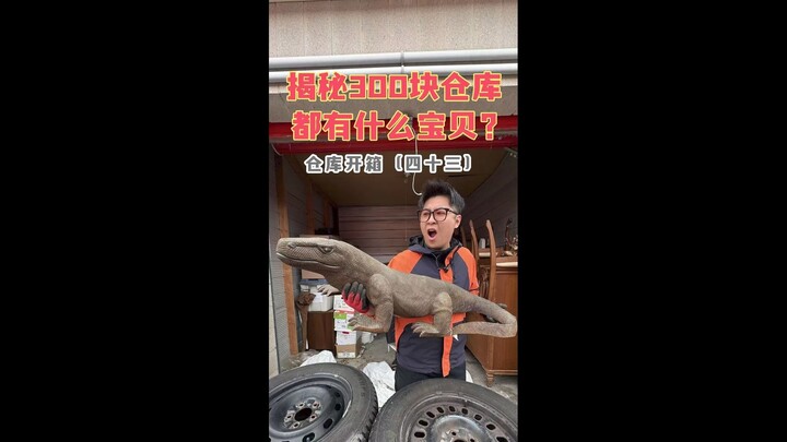 How much money can you make by spending $300 treasure hunting in overseas warehouses?!
